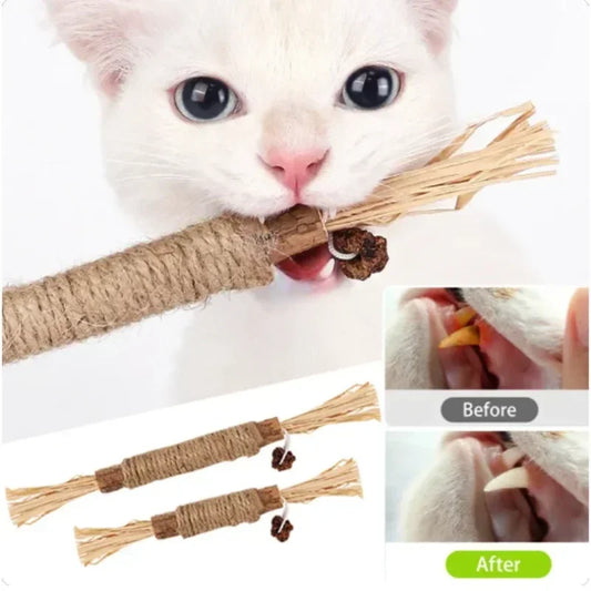 Cat Toys Cleaning Teeth Silvervine Chew Stick Pet Snacks Sticks Natural Stuff with Catnip for Kitten Catnip Teasing Chew Toys